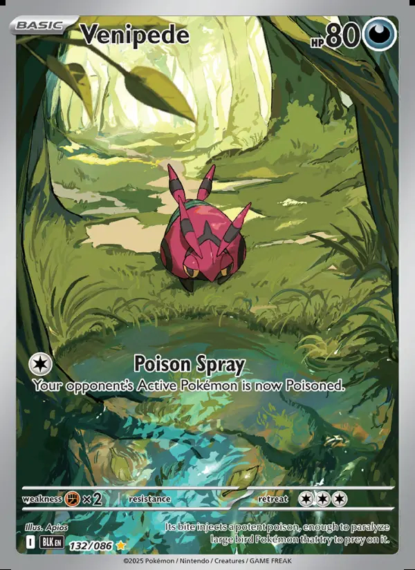 Image of the card Venipede